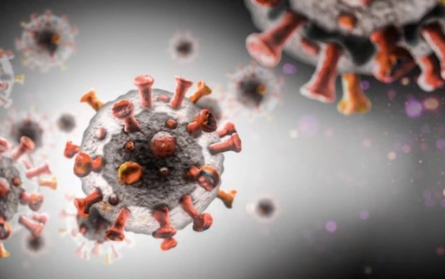 Vi khuẩn Mycoplasma gây nhiễm trùng đường hô hấp làm tổn thương niêm mạc đường hô hấp.